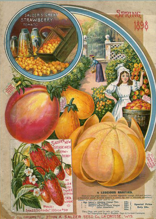 The cover of a seed catalog from 1898.There are a variety of different vegetable featured and a young girl picking fruit is featured wearing an white dress with a woman in the background leaning down to garden. 
